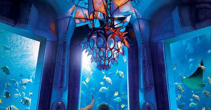 Explore DubaiâS Lost Chambers Aquarium: Tickets For One, Two, Or Four Dubai - Image 16